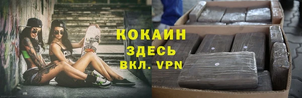 прущие крисы Алзамай