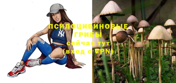 прущие крисы Алзамай