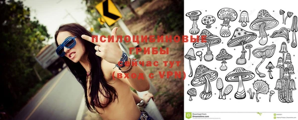 каннабис Алексеевка